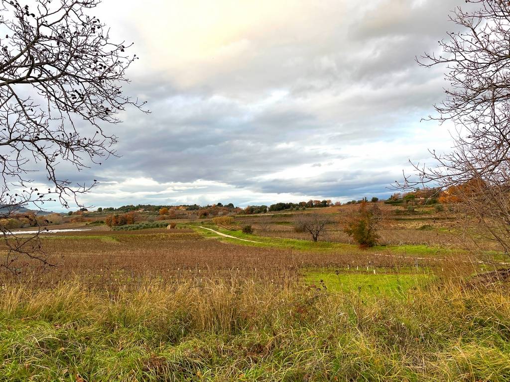 Terrain constructible avec vue dégagée sur la campagne de Faucon   