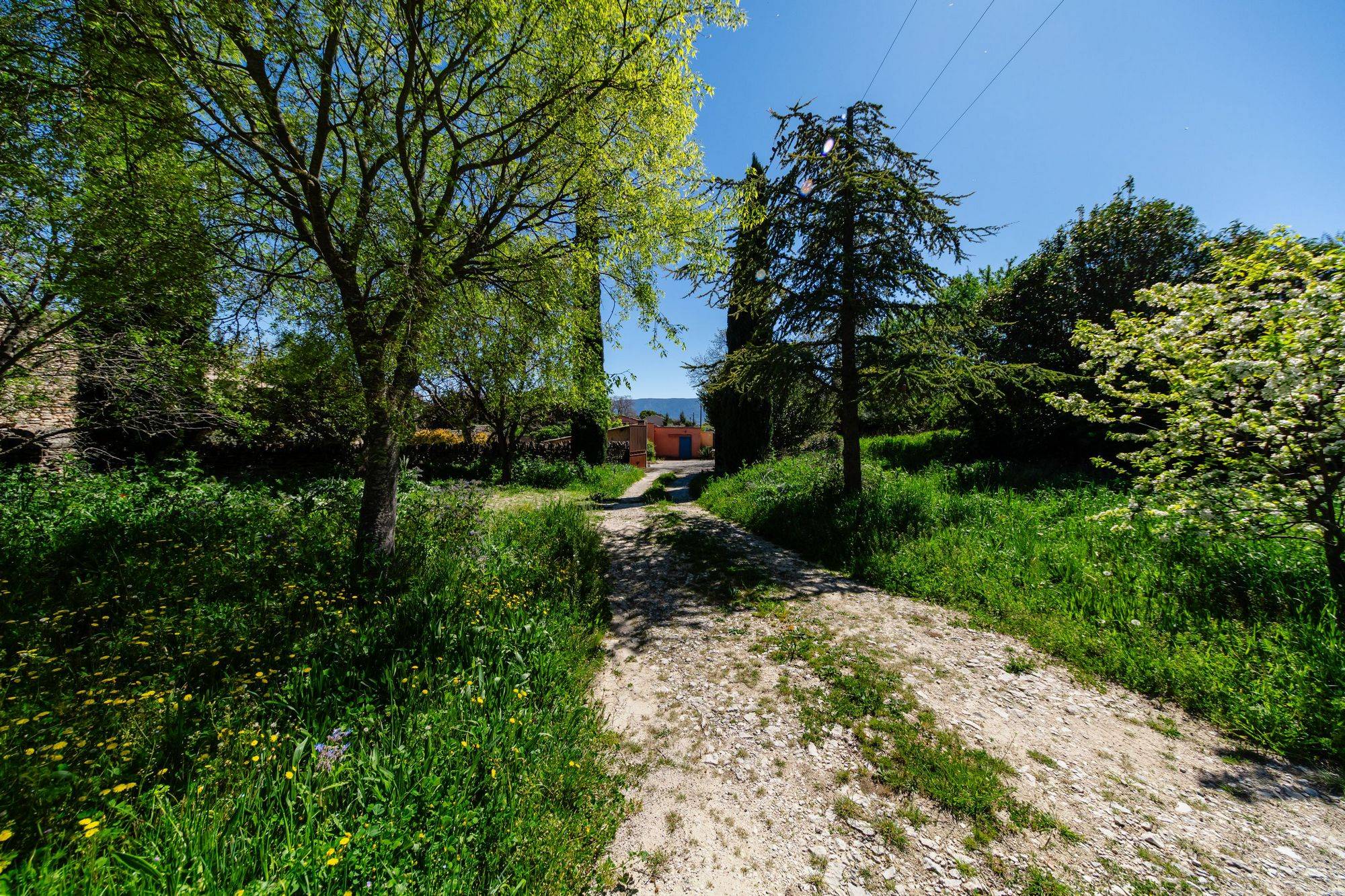Projet de rénovation et construction sur un joli terrain boisé au centre du village de Cabrières d'Avignon.