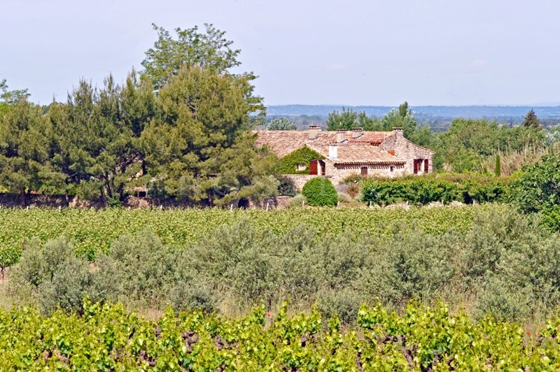 Mas Rénové  à vendre en Luberon     sur plus de 3 hectares avec tennis et piscine.