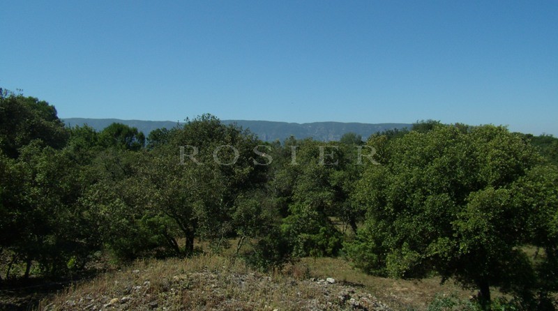 Superbe terrain constructible de plus de 4000 m² sur Gordes,  face au Luberon   