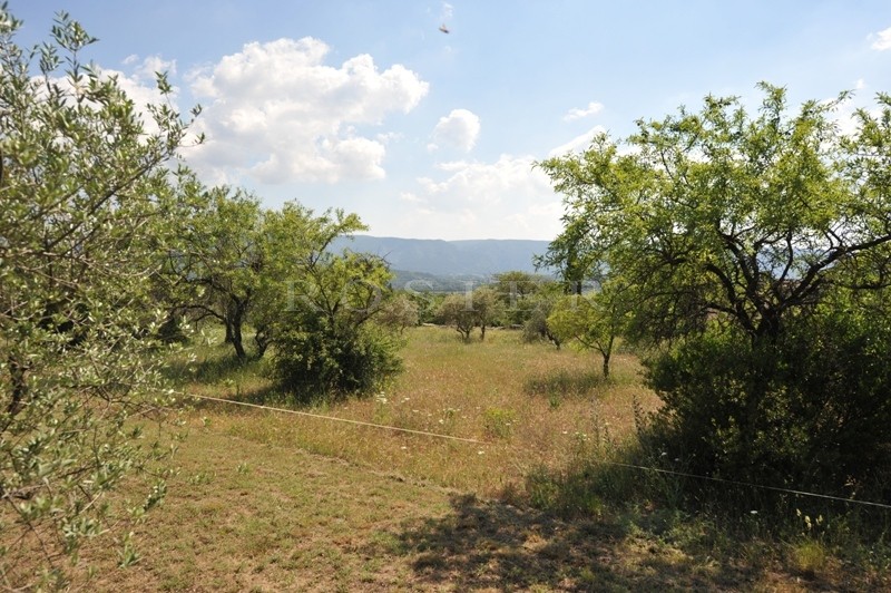 Au pied du village classé de Gordes,  terrain à batîr au milieu des oliviers et offrant de belles vues sur le Luberon  