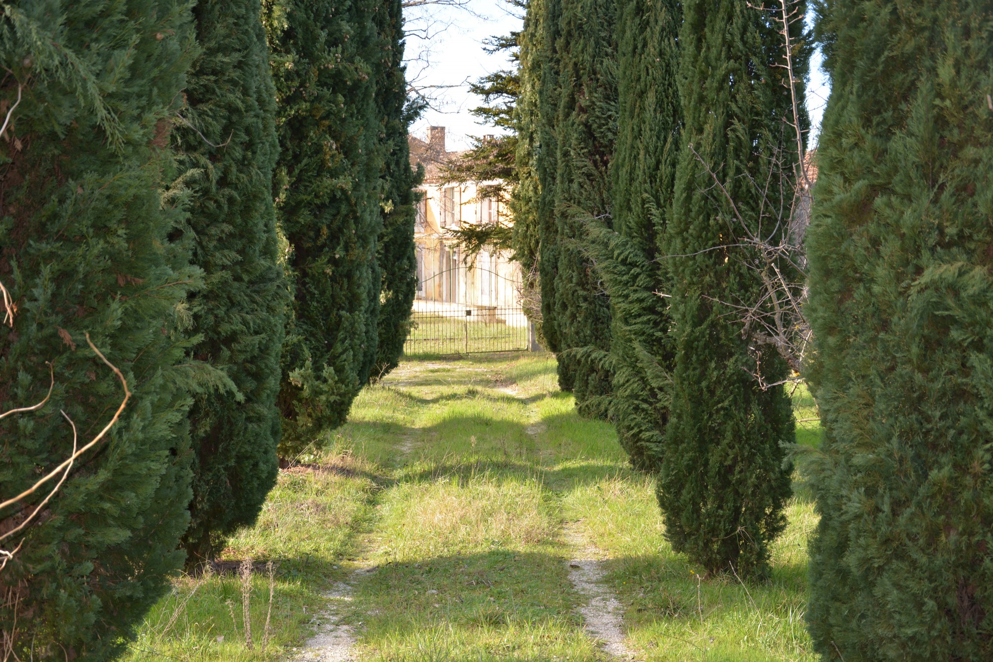 Proche des villages de Ménerbes et Bonnieux, superbe mas à restaurer sur environ 2 hectares   