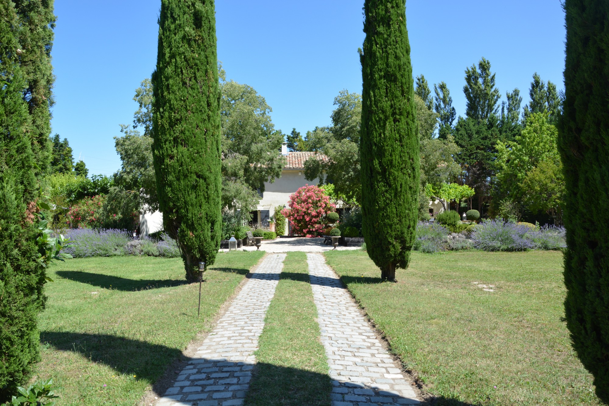A vendre dans les Alpilles, entre St-Rémy-de-Provence et Avignon, mas rénové avec soin    