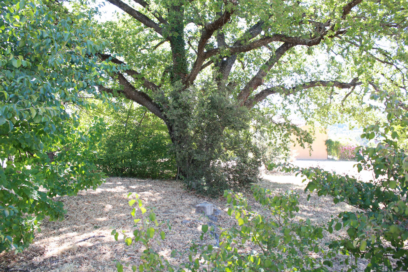 Terrain constructible à vendre dans un très beau hameau situé au cœur du Luberon    