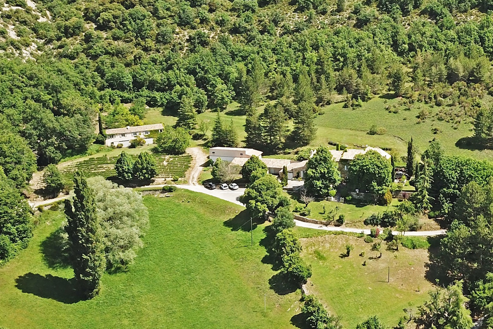 Elégante maison bourgeoise avec dépendances sur terrain de 15 hectares entre Luberon et Mont Ventoux   