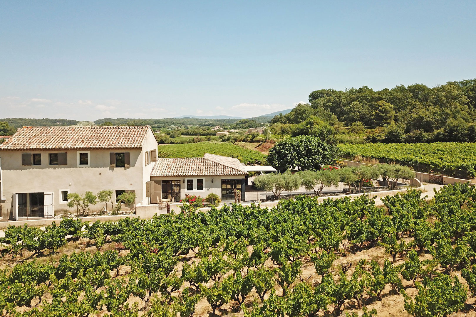 Luberon, mazet contemporain avec piscine au milieu des vignes    