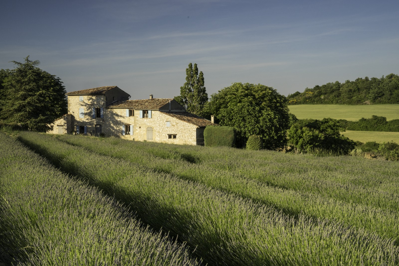 très belle ferme avec piscine au milieu des lavandes de Provence   