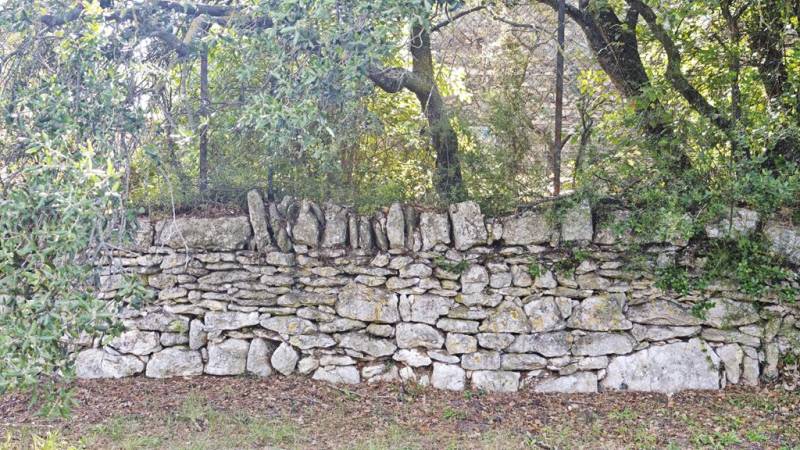 À la vente à Gordes, terrain constructible de 1100 m² complanté d'oliviers avec de belles vues sur le Luberon.