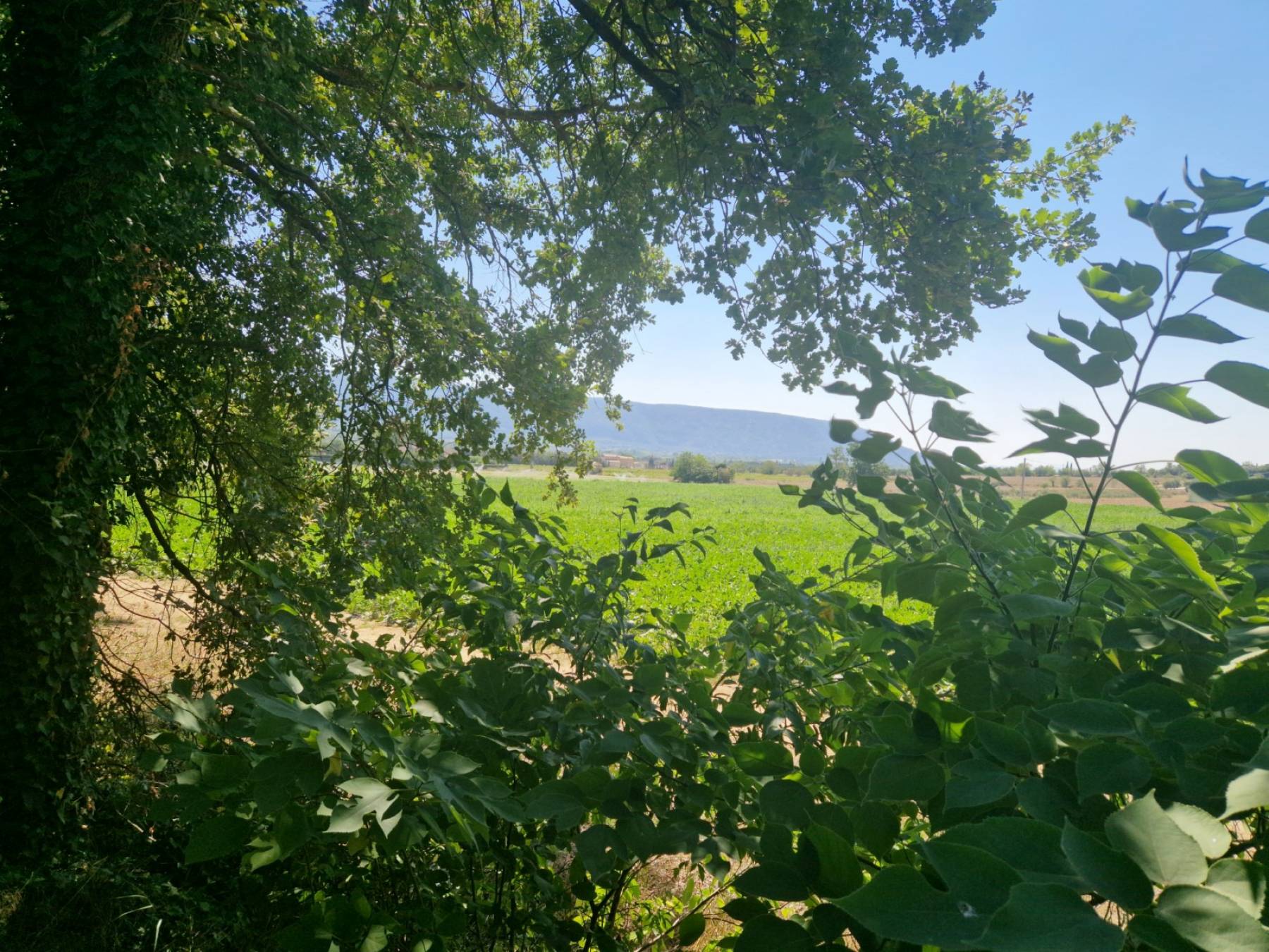 BIEN VENDU A la vente, cabanon avec vue sur plus de 6000 m² de terrain non constructible à Gordes.