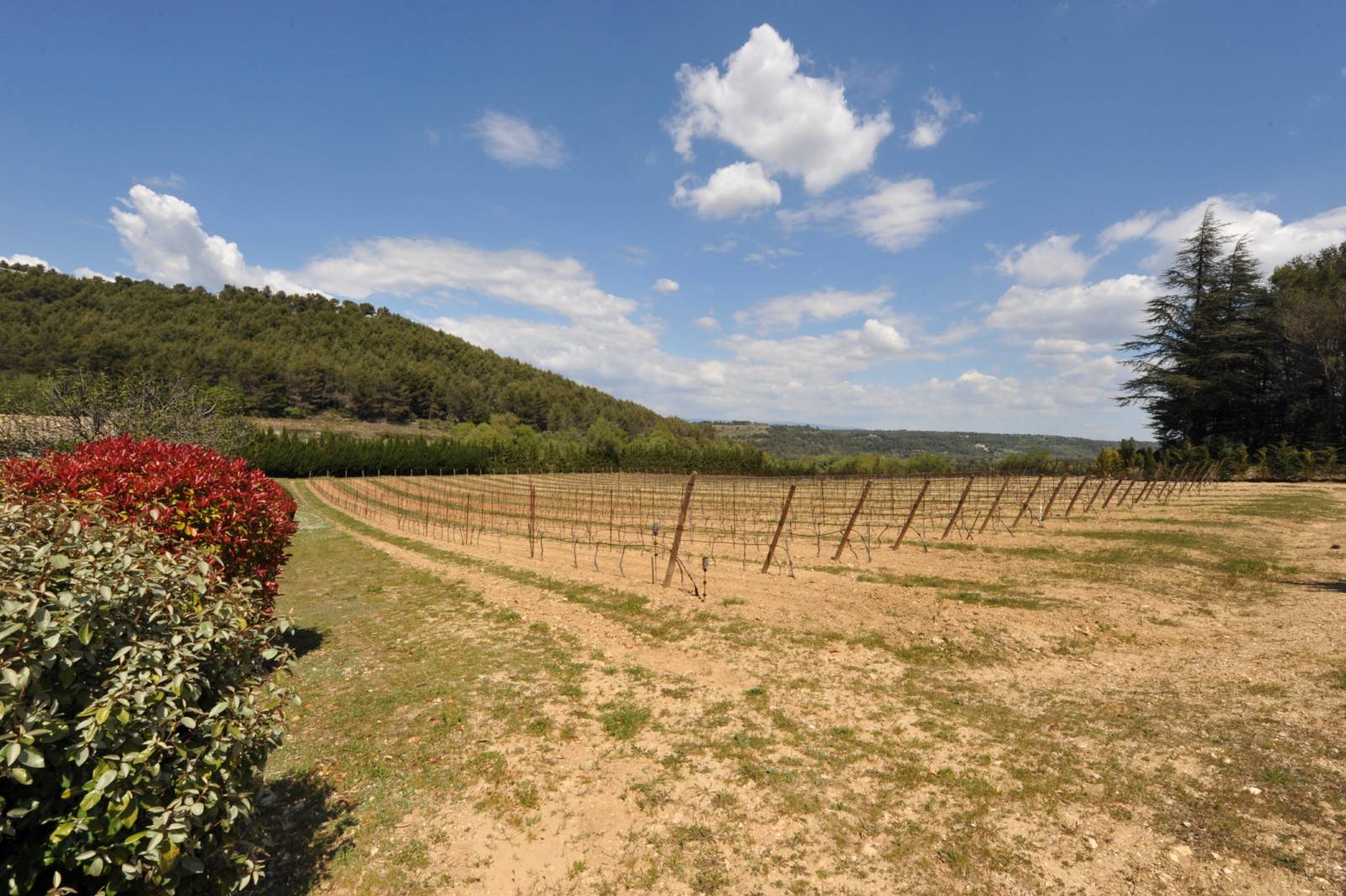 grand mas de charme ancien proche village classé du Luberon   