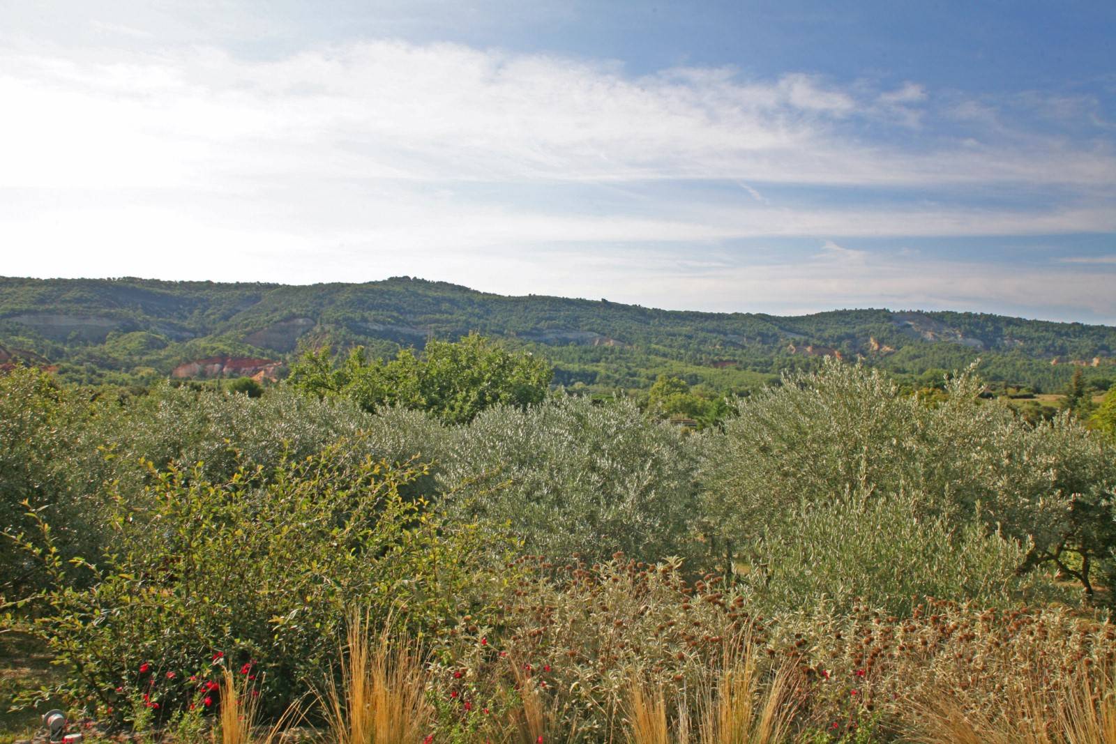Exclusivité à Rustrel : maison à deux pas du village avec vue dominante et piscine   