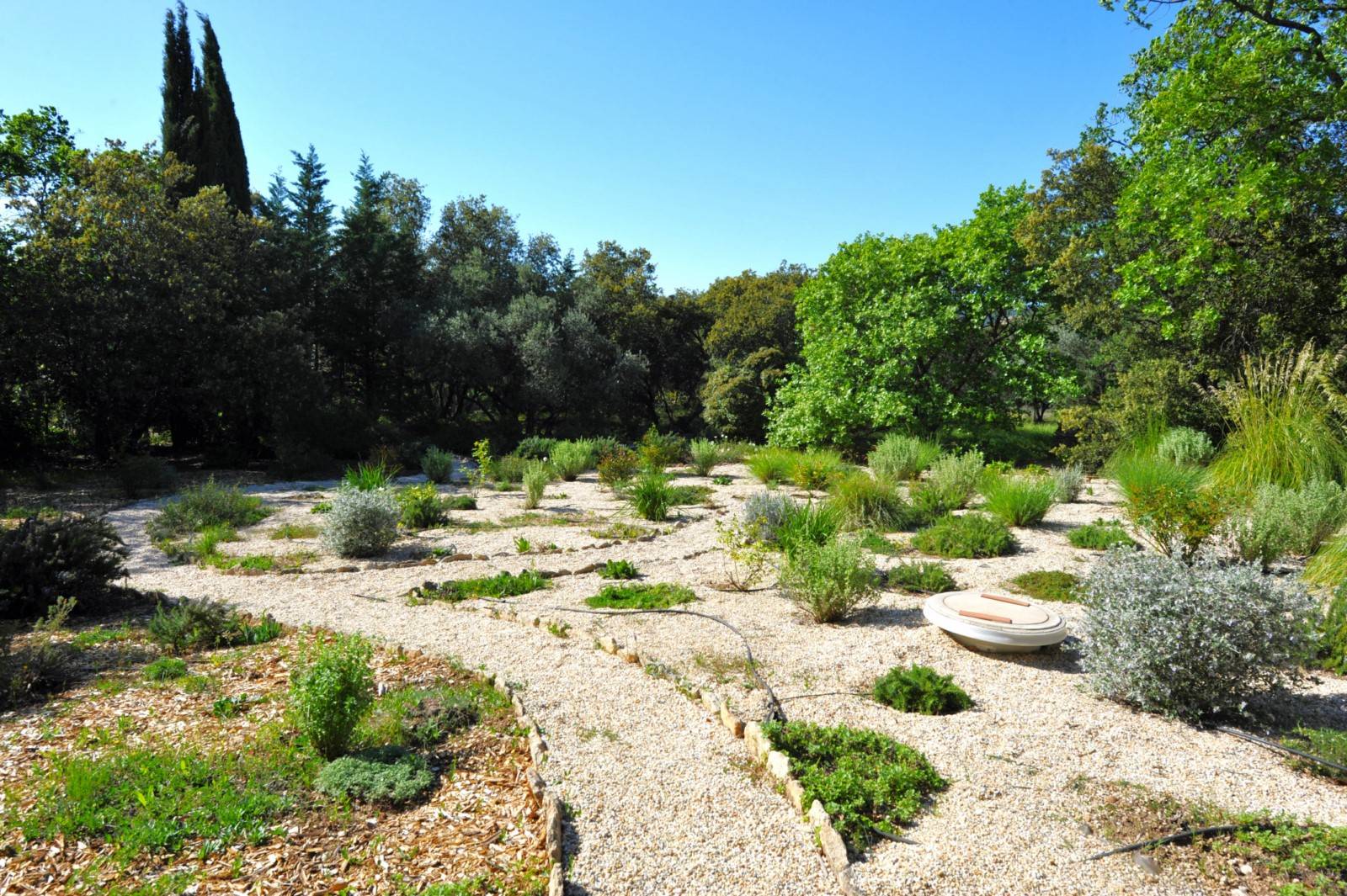 Gordes : Belle maison en pierres sur grand terrain   