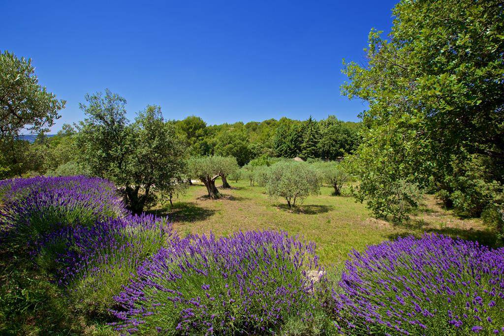 GORDES, SUPERBE PROPRIÉTÉ DE PRESQUE 2,5 HECTARES AU GRAND CALME   