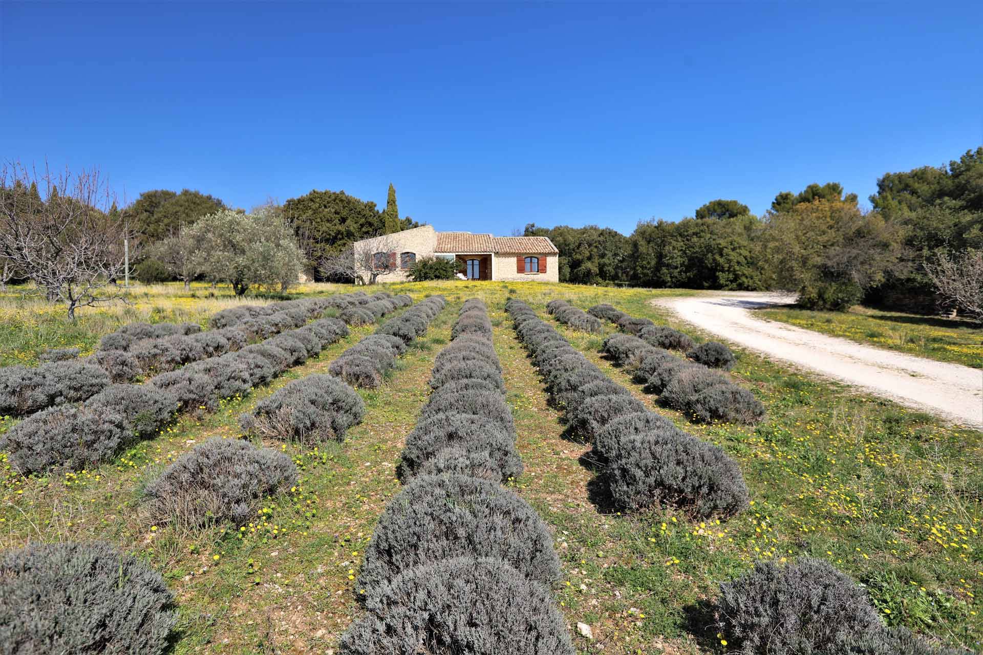 Superbe propriété sur plus de 4,3 hectares en campagne de Gordes   