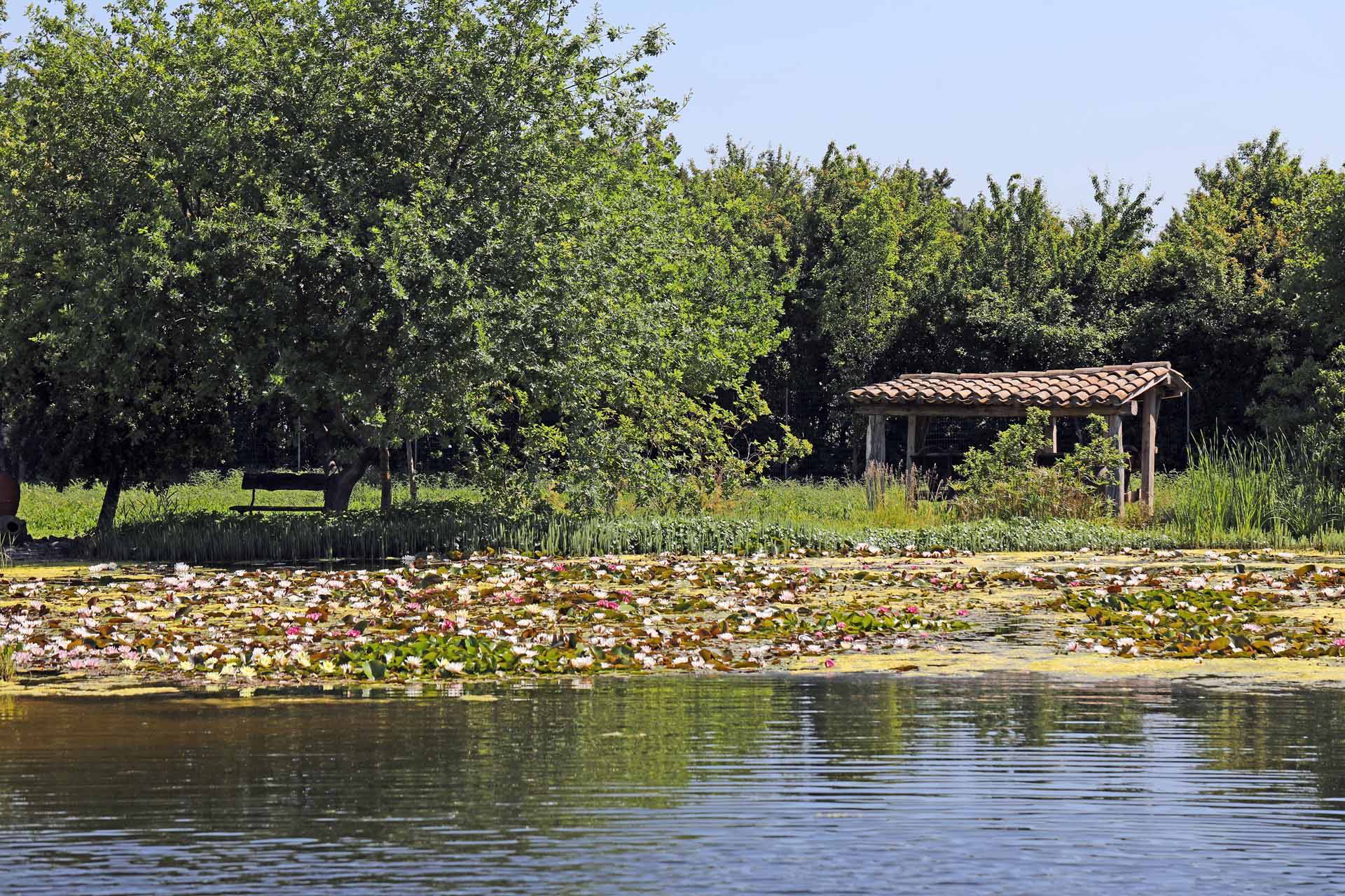 Luberon, Mas de 1830 entièrement rénové au cœur d’un parc paysager    
