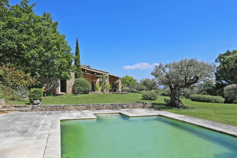 piscine en provence avec oliviers et vue Luberon