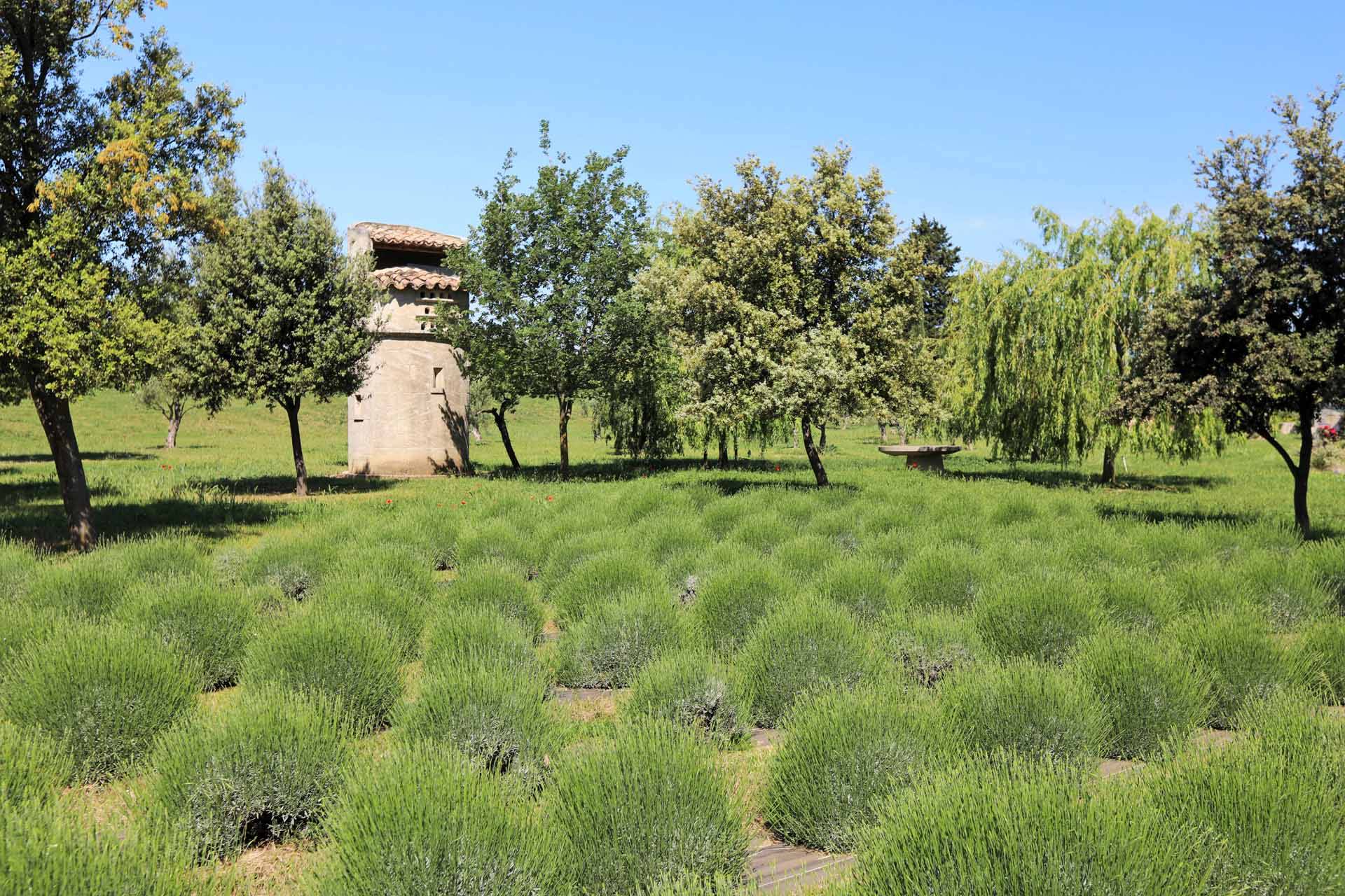Luberon, Mas de 1830 entièrement rénové au cœur d’un parc paysager    