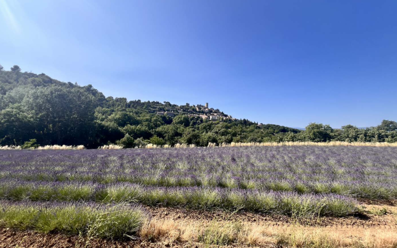 À proximité du village de Lacoste, à vendre, propriété ancienne à rénover entièrement, avec permis accordé pour une réhabilitation totale sur un terrain de plus de 7 ha.
