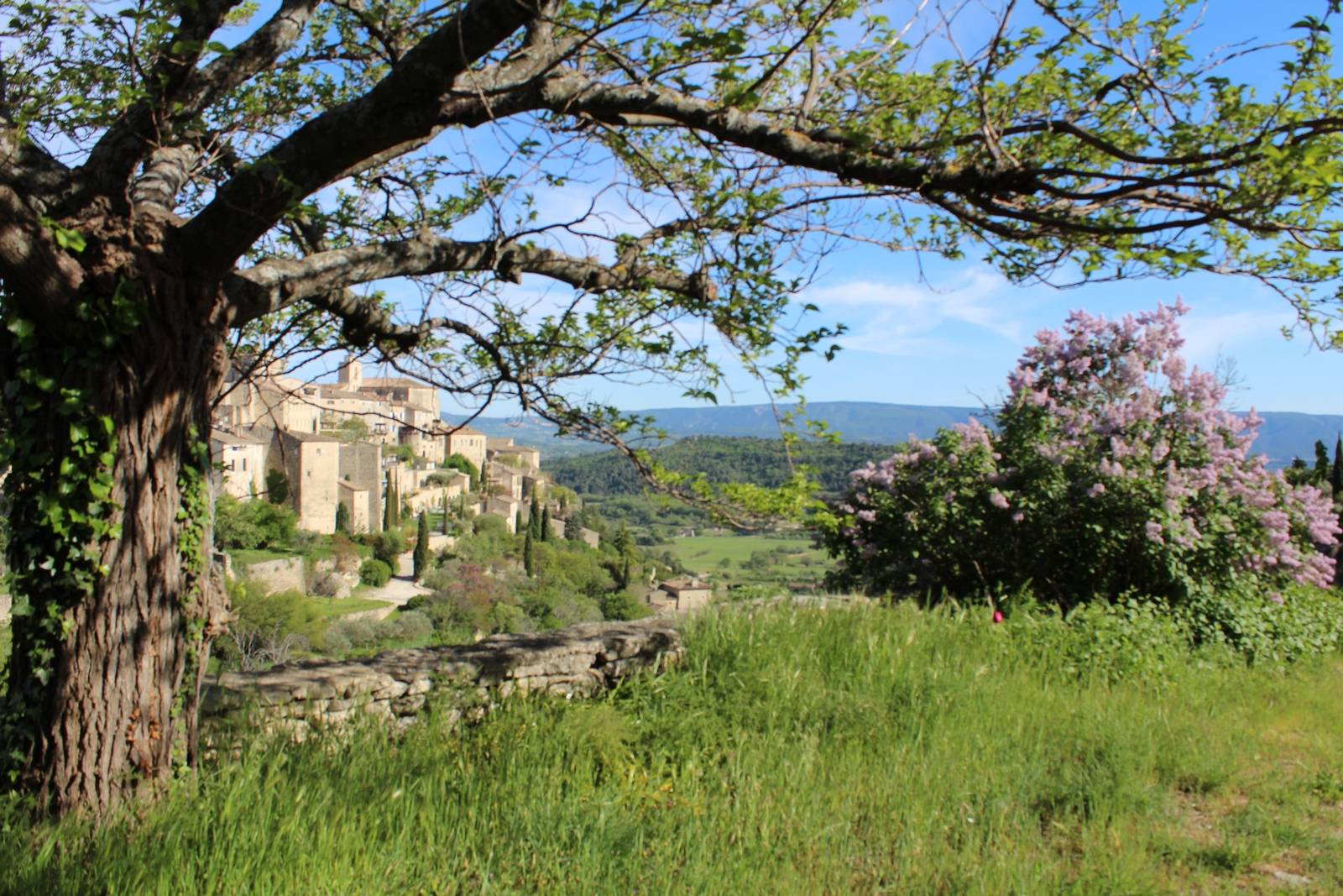 Jardin avec vue panoramique sur le village de Gordes en Luberon