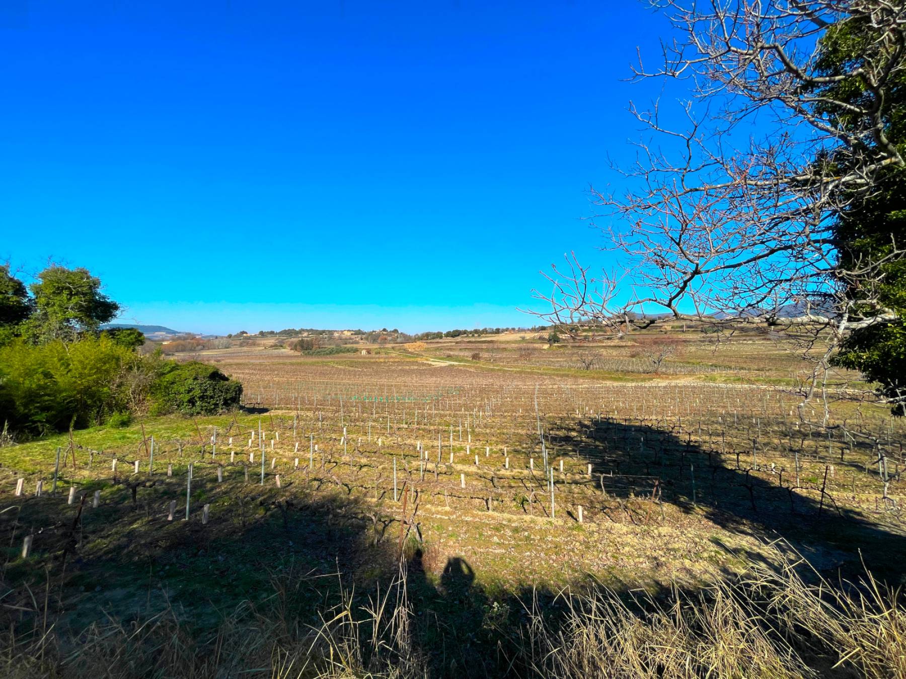 Terrain constructible avec vue dégagée sur la campagne de Faucon   