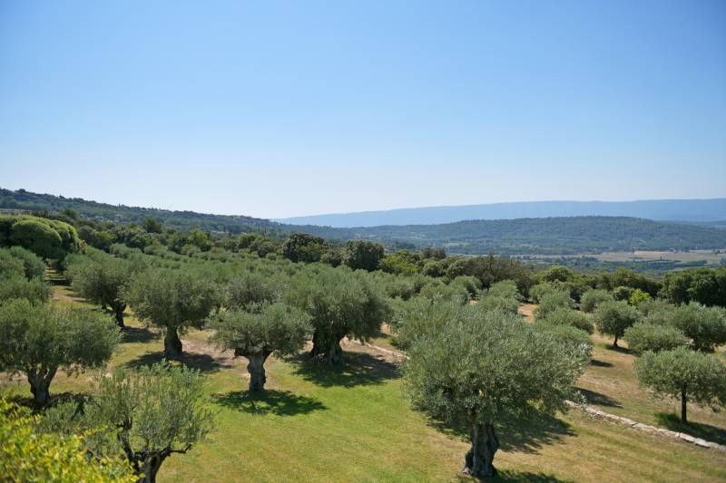 Espaces et jardins Les Jardiniers Créateurs, paysagiste à Robion, spécialistes de création et aménagement de jardins sur mesure en Provence