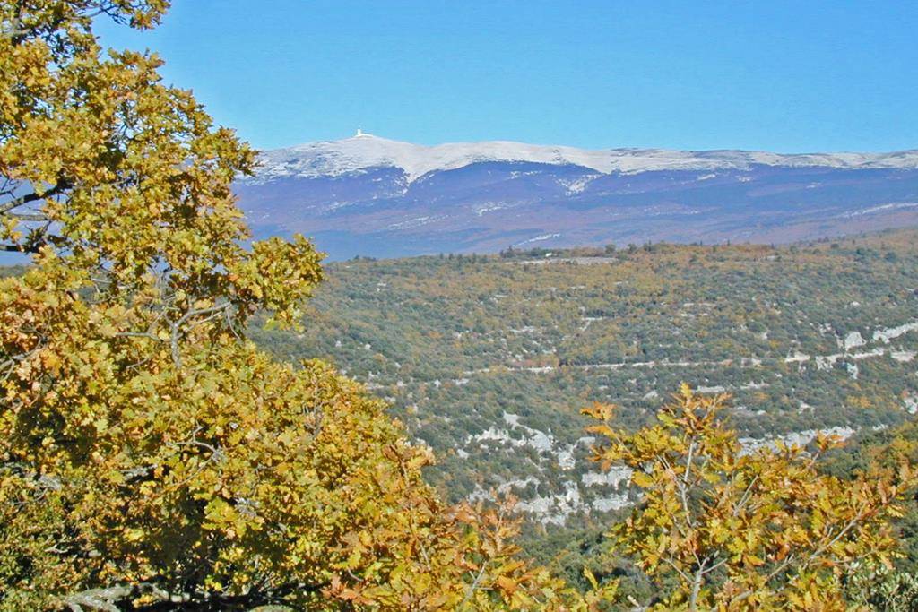 vallon des gorges de la Nesque et Mont Ventoux