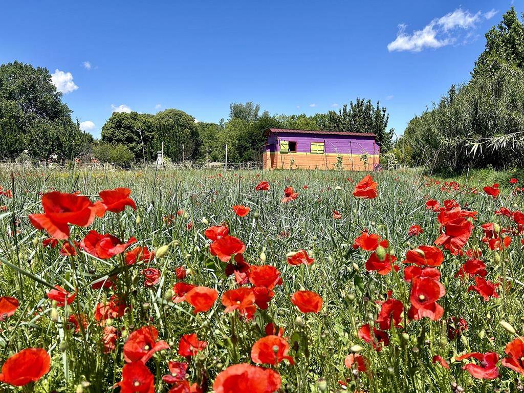 Propriété avec gîtes indépendants et piscine en bord de Sorgue   
