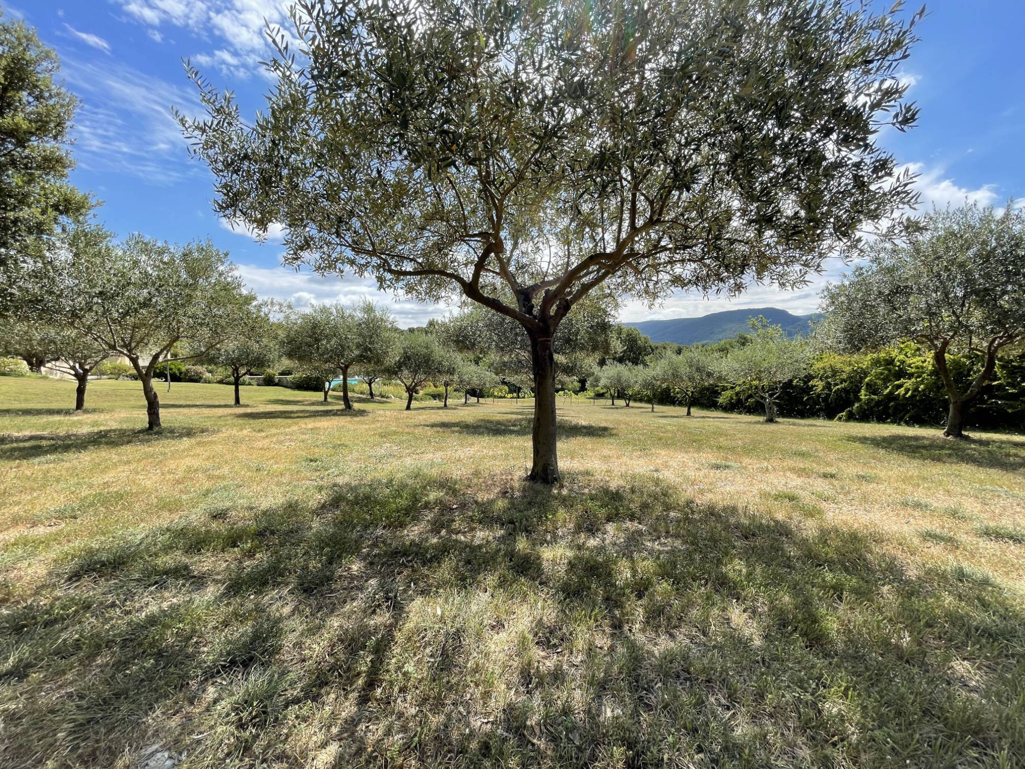 Entre Ventoux et Luberon, maison traditionnelle bénéficiant d’une vue sublime   