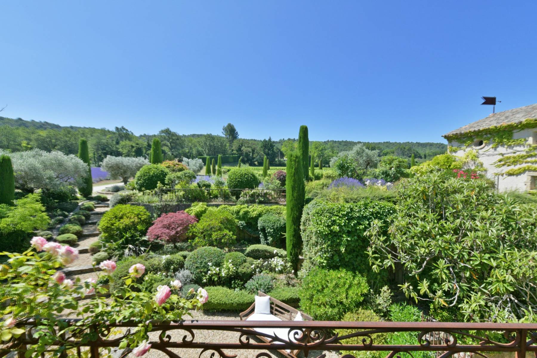 Amazing Provence