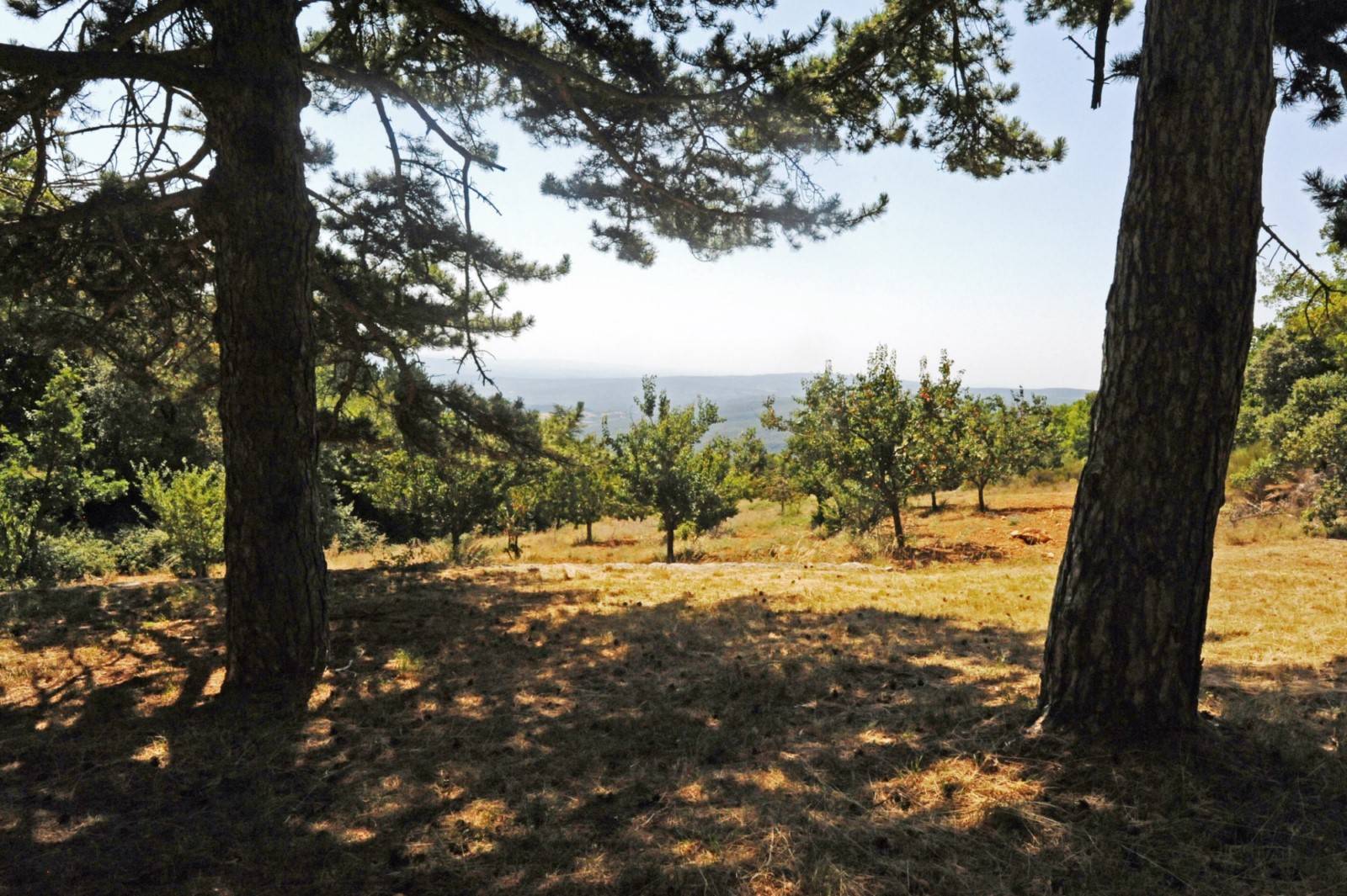 bergerie avec piscine et tennis sur 70 hectares   