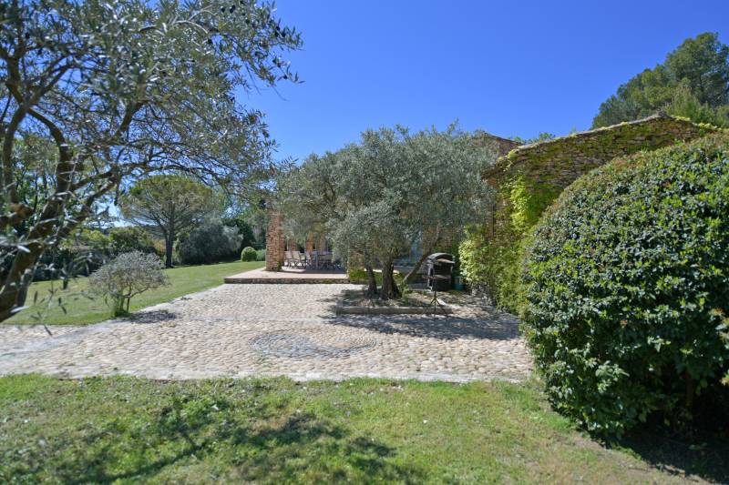cour fermée avec olivier centenaire et calade en gallets en provence