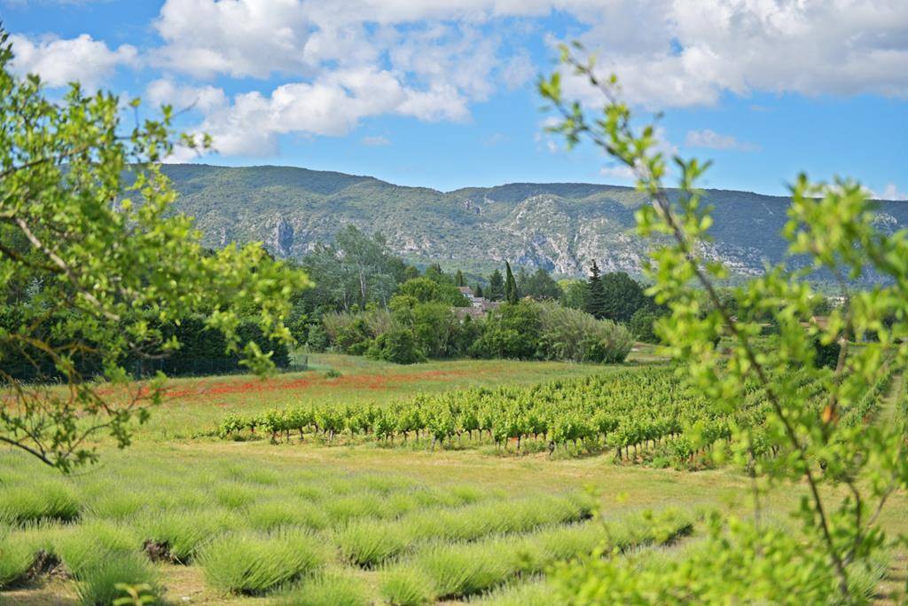 AUTHENTIQUE FERME RÉNOVÉE SUR PLUS D'1,5 HECTARE FACE AU LUBERON   