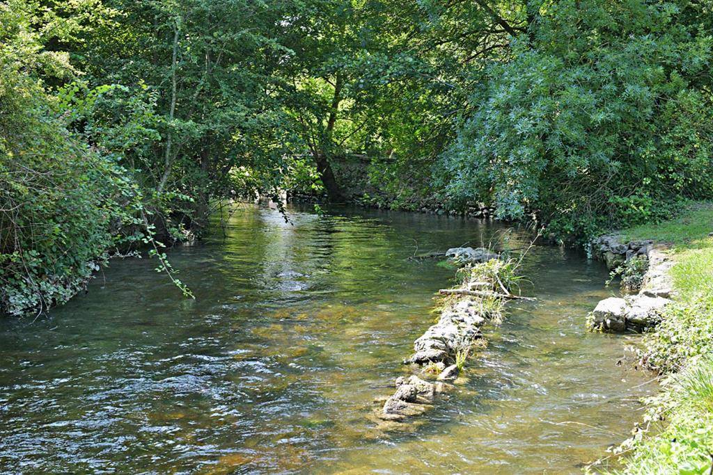 ISLE SUR LA SORGUE : AGRÉABLE PROPRIÉTÉ DE FAMILLE EN BORDURE DE RIVIÈRE   