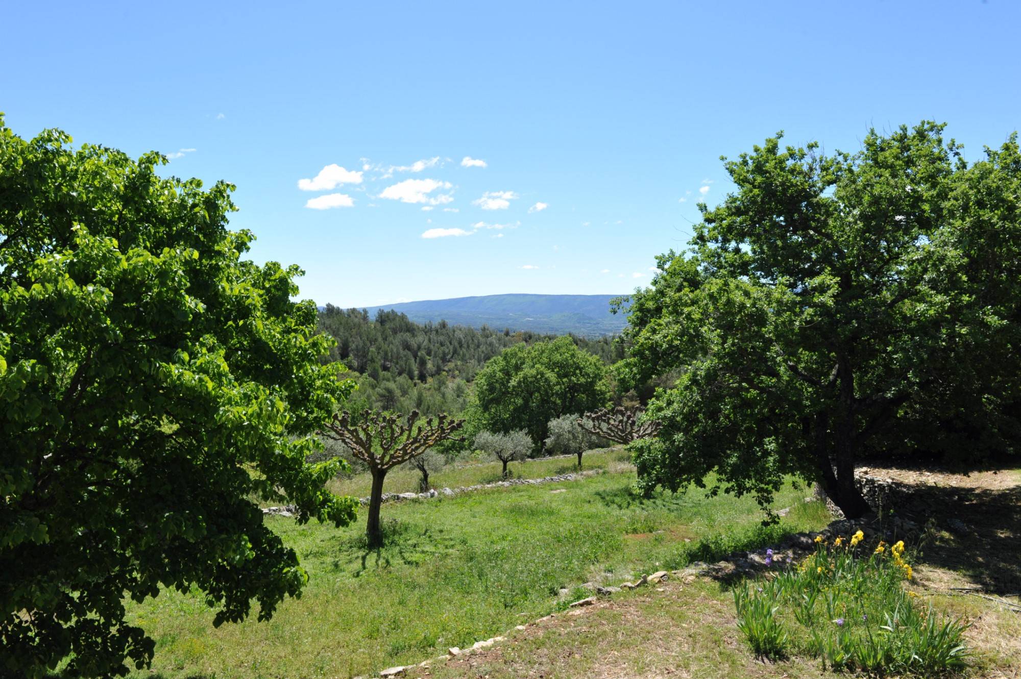 proche de Gordes, unique propriété de caractère sur 25 hectares   