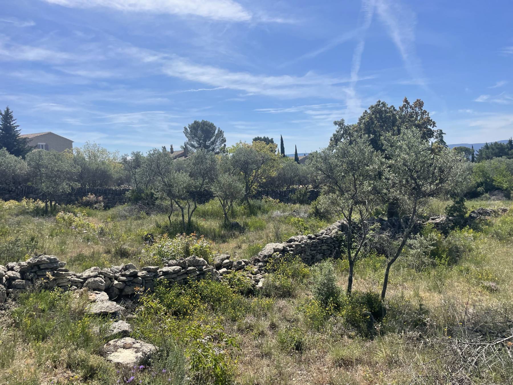Gordes : Terrain constructible de 1714 m² proche village   