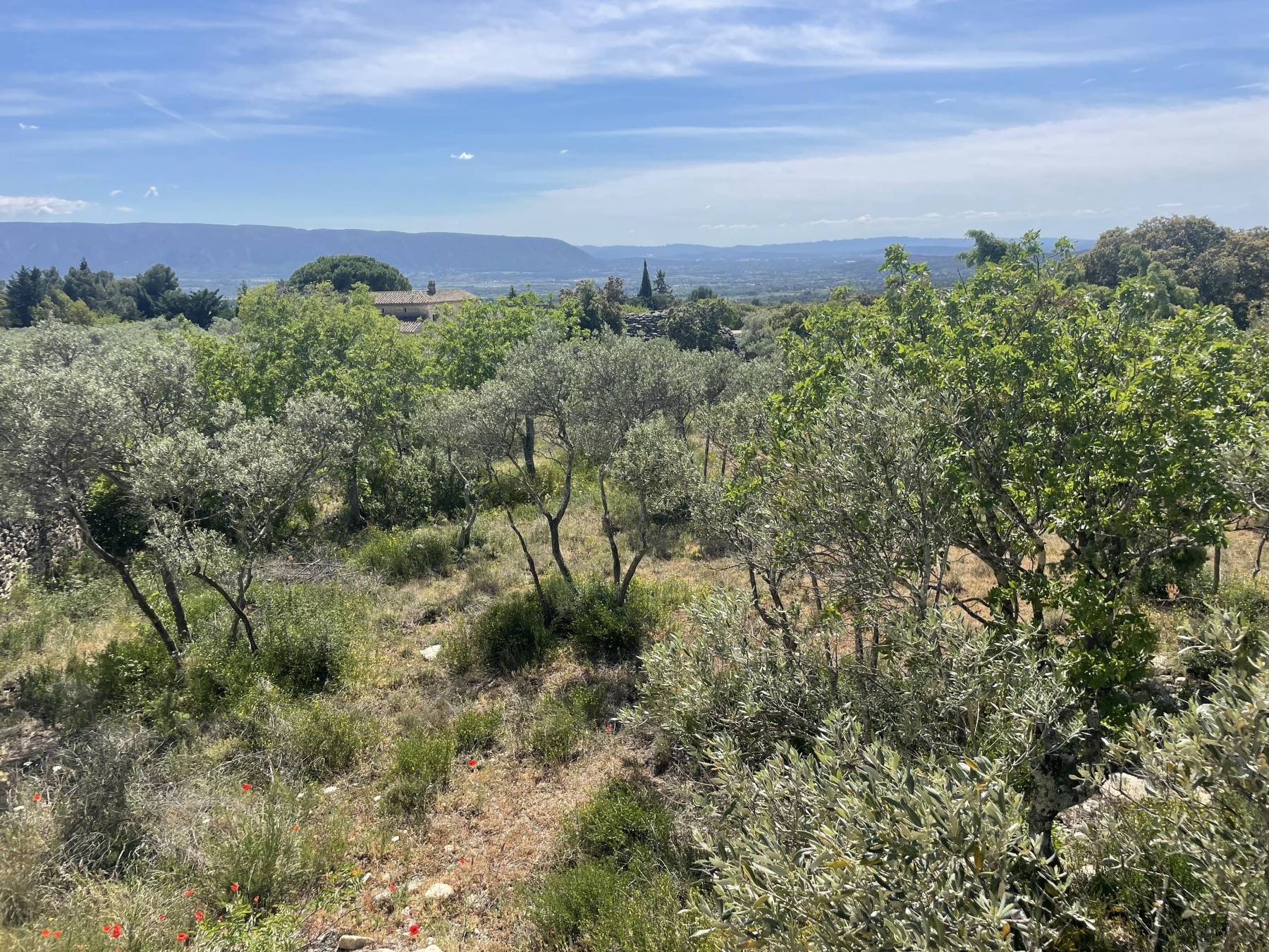 Gordes : Terrain constructible de 1714 m² proche village   