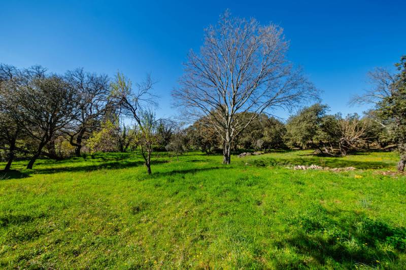 Proche de Gordes, à la vente, maison de construction traditionnelle sur un terrain de 7 700 m² dans un environnement paisible.