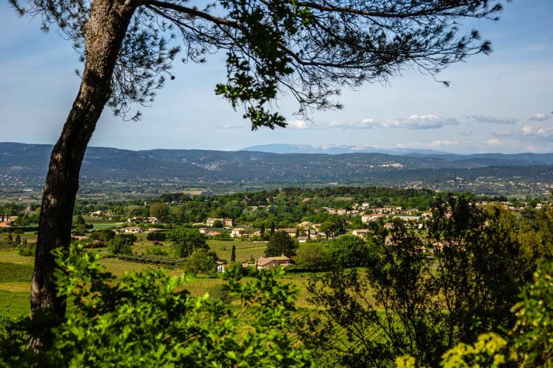 Superbe bergerie rénovée avec vue panoramique sur Gordes et les Monts du Vaucluse, terrain de 2 hectares avec bassin de nage.