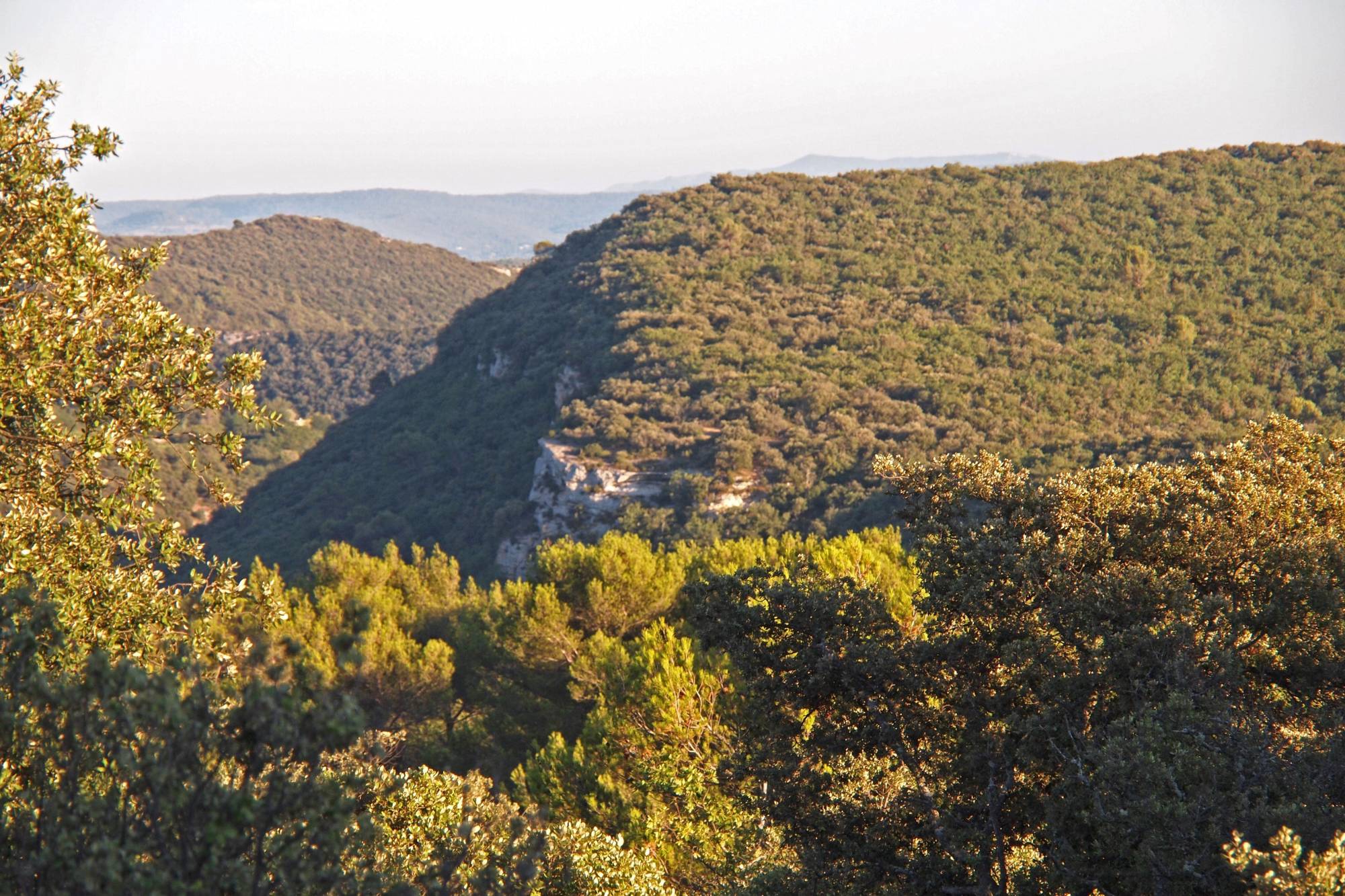 Dans le Luberon au milieu de nulle part, beau cabanon avec bories sur presque 3 hectares - BIEN VENDU -