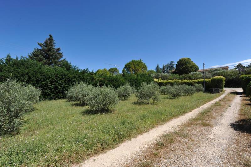 Entre Gordes et Ménerbes, à quelques minutes de tous les commerces, terrain constructible de 960 m² complanté d'oliviers