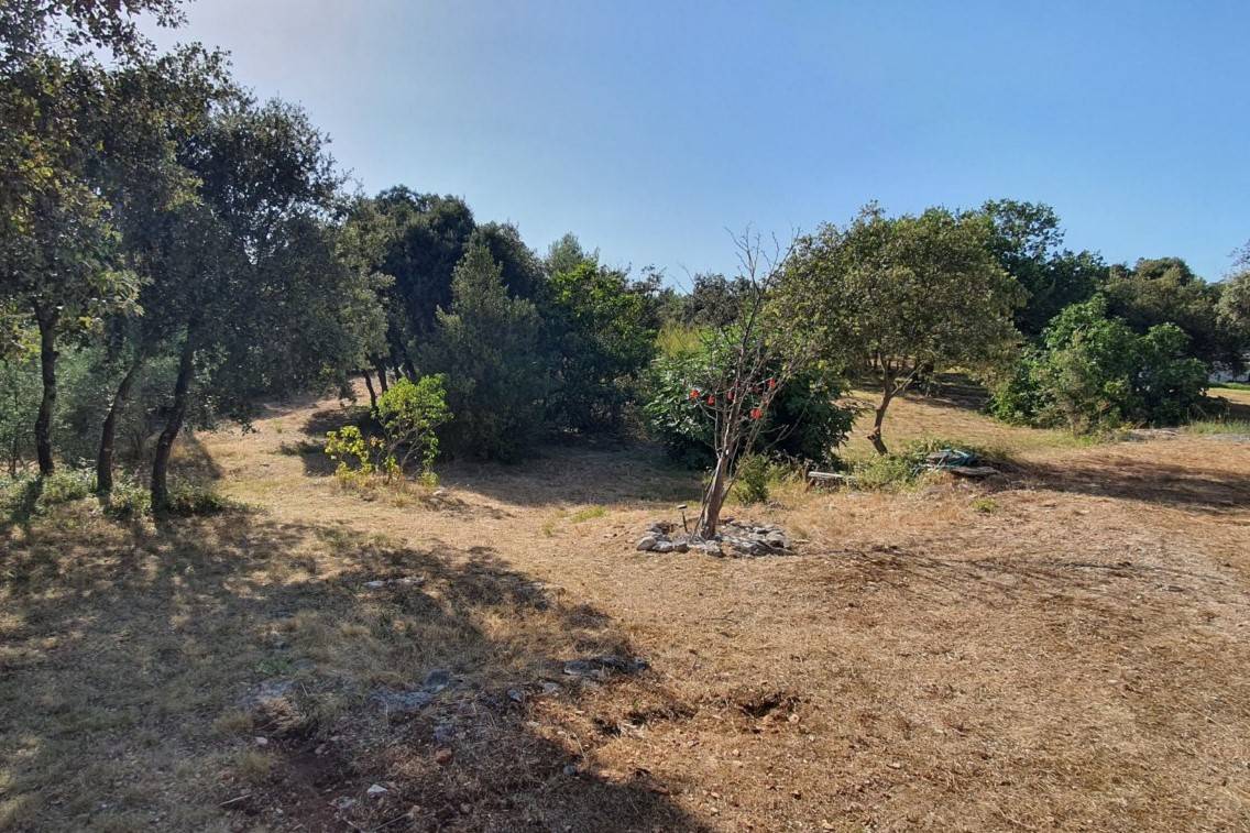 Goult, maison traditionnelle sur plus d'1 hectare de terrain avec piscine   