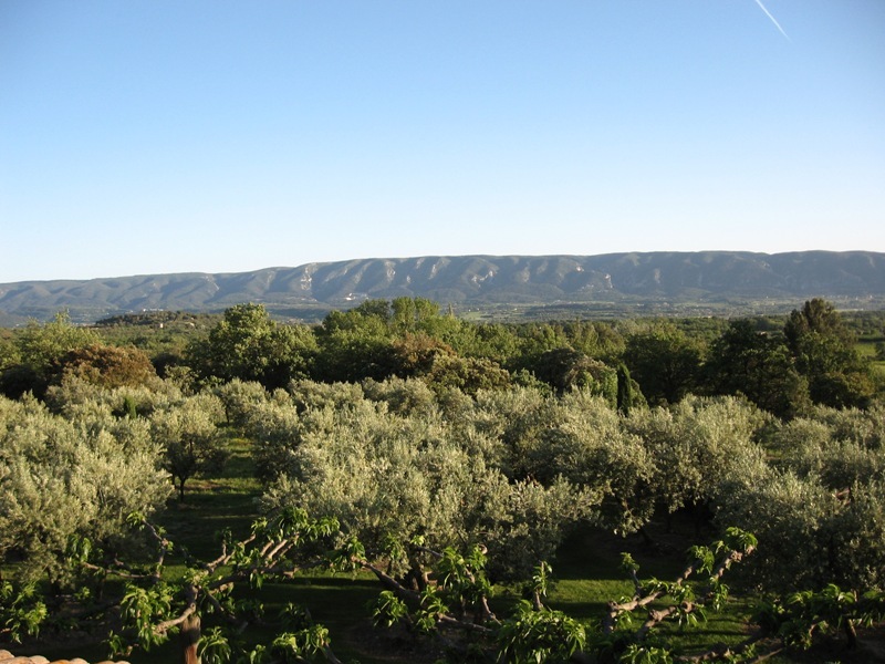 Maison en pierres à Gordes sur 1,7 hectares
