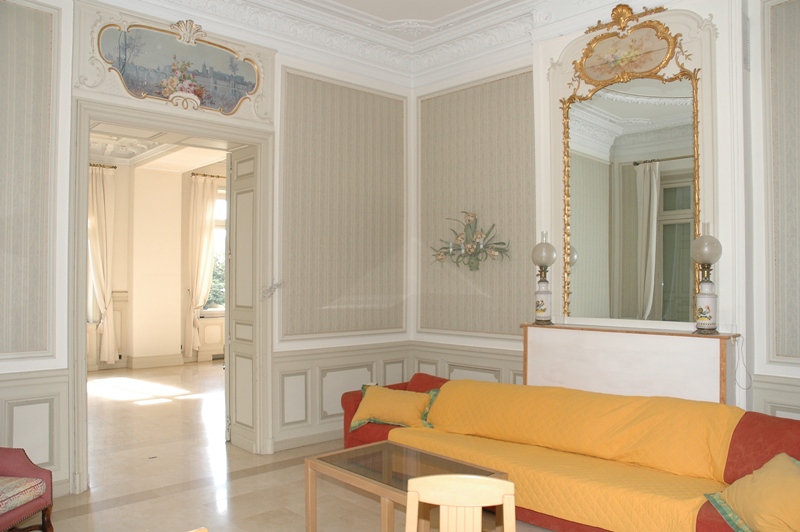 Chateau en Provence avec superbe parc entre Alpilles, Luberon, Mont Ventoux et Avignon