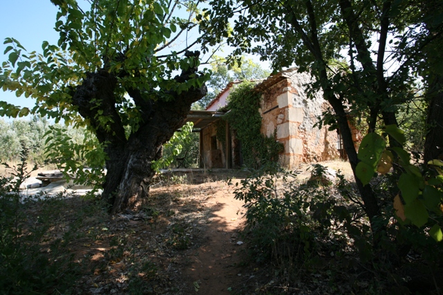 BIEN VENDU - Cabanon charmant et calme sur 4 000 m² à rénover dans le Luberon Nord