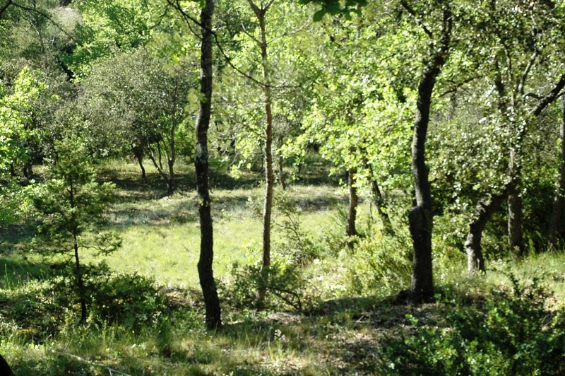 Maison en pierre en Luberon, exceptionelle emplacement  !