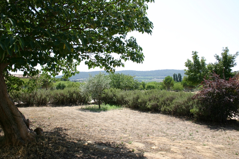 Mas en Provence a vendre avec manege et boxs a chevaux