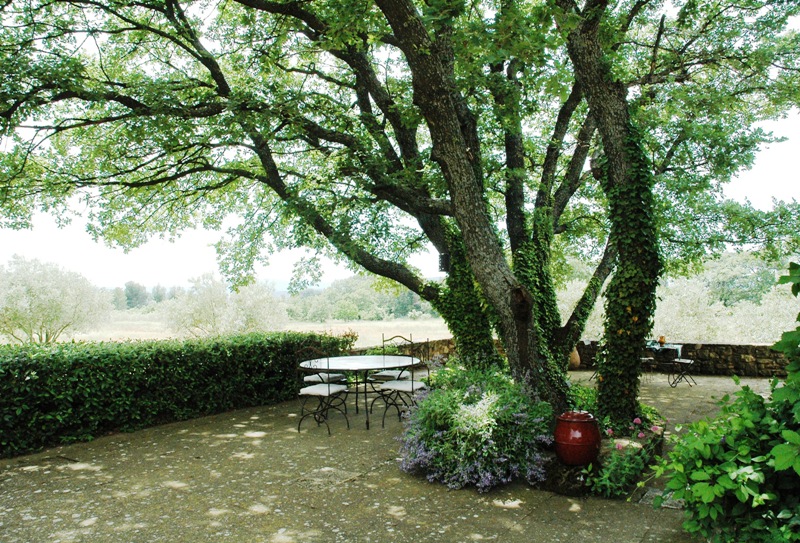 Mazet 19ème en sud Luberon avec piscine sur 21 000 m² dont vignes