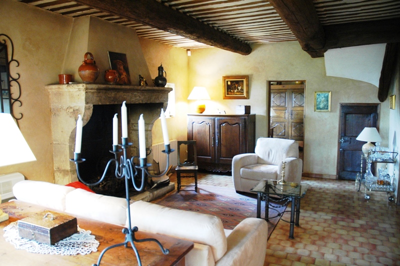 Mazet 19ème en sud Luberon avec piscine sur 21 000 m² dont vignes