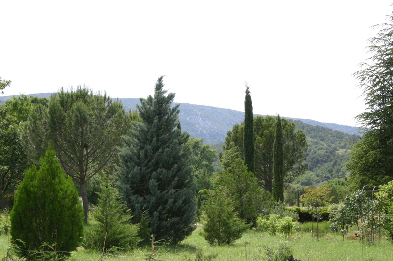 Terrain à batir proche Ménerbes avec vue sur le Luberon