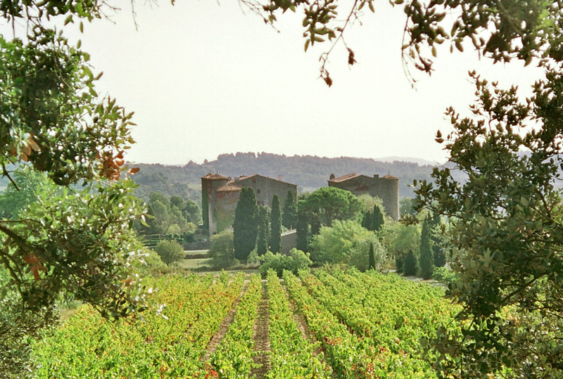 Chateau du XIIeme siecle avec vignoble